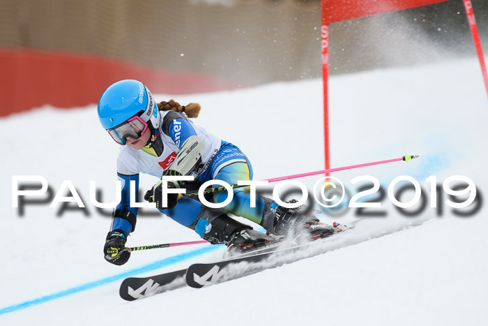 5. BZB CUP RS, + Werdenfelser Meisterschaft + U18, 10.02.2019