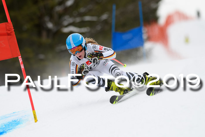 5. BZB CUP RS, + Werdenfelser Meisterschaft + U18, 10.02.2019