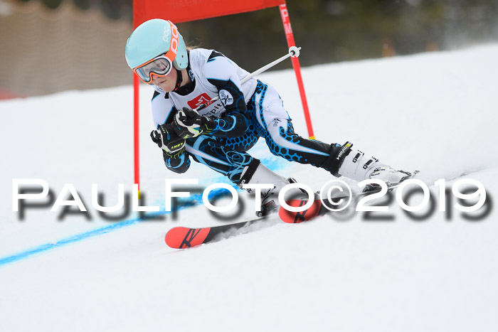 5. BZB CUP RS, + Werdenfelser Meisterschaft + U18, 10.02.2019