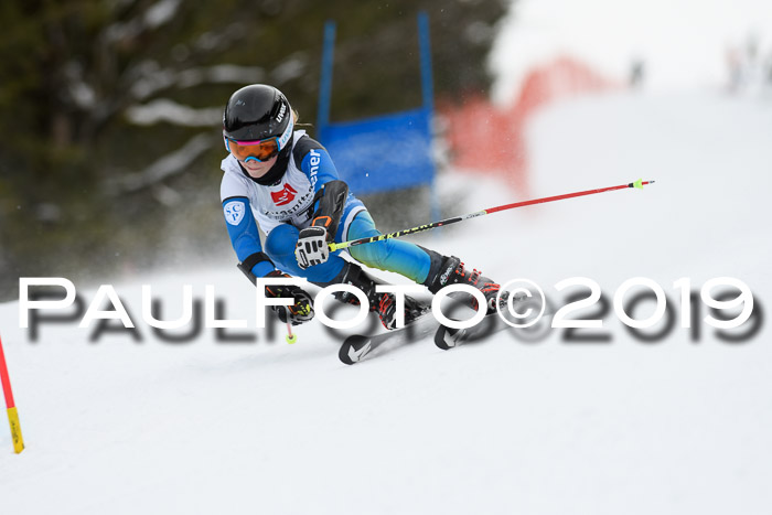 5. BZB CUP RS, + Werdenfelser Meisterschaft + U18, 10.02.2019