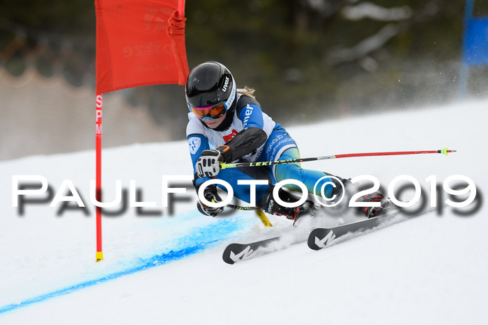 5. BZB CUP RS, + Werdenfelser Meisterschaft + U18, 10.02.2019