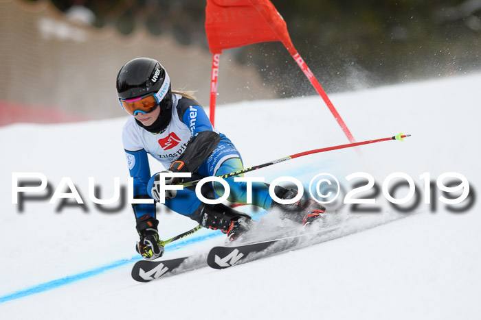 5. BZB CUP RS, + Werdenfelser Meisterschaft + U18, 10.02.2019