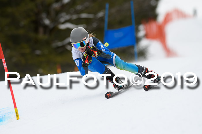 5. BZB CUP RS, + Werdenfelser Meisterschaft + U18, 10.02.2019