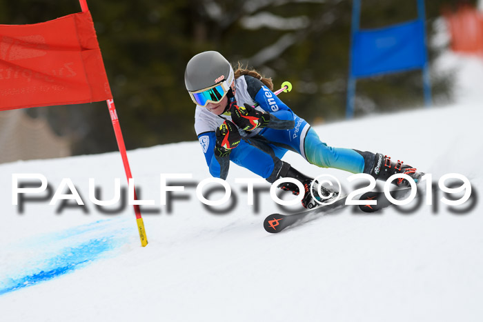5. BZB CUP RS, + Werdenfelser Meisterschaft + U18, 10.02.2019