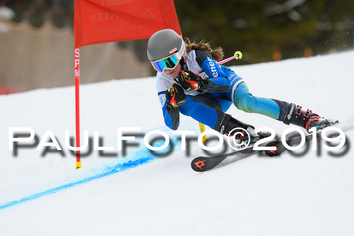 5. BZB CUP RS, + Werdenfelser Meisterschaft + U18, 10.02.2019