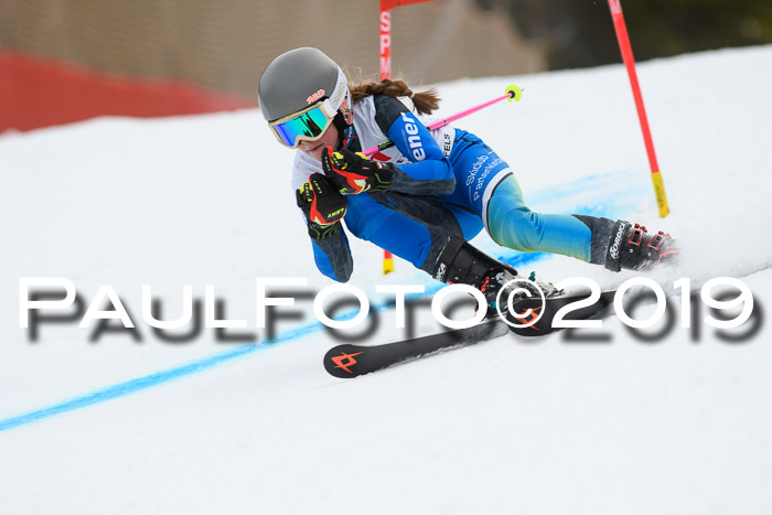 5. BZB CUP RS, + Werdenfelser Meisterschaft + U18, 10.02.2019