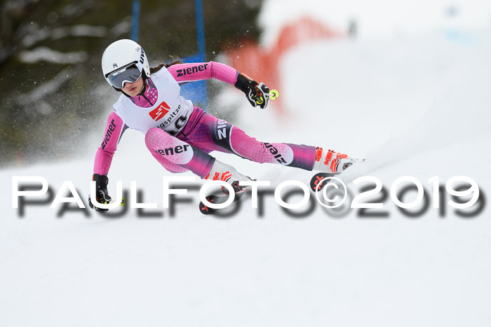 5. BZB CUP RS, + Werdenfelser Meisterschaft + U18, 10.02.2019