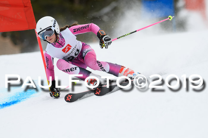 5. BZB CUP RS, + Werdenfelser Meisterschaft + U18, 10.02.2019