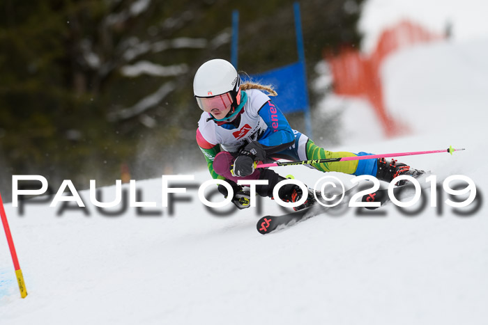 5. BZB CUP RS, + Werdenfelser Meisterschaft + U18, 10.02.2019