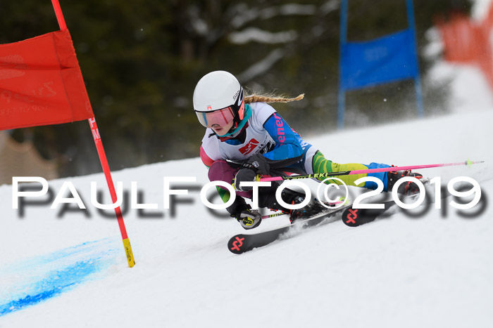 5. BZB CUP RS, + Werdenfelser Meisterschaft + U18, 10.02.2019