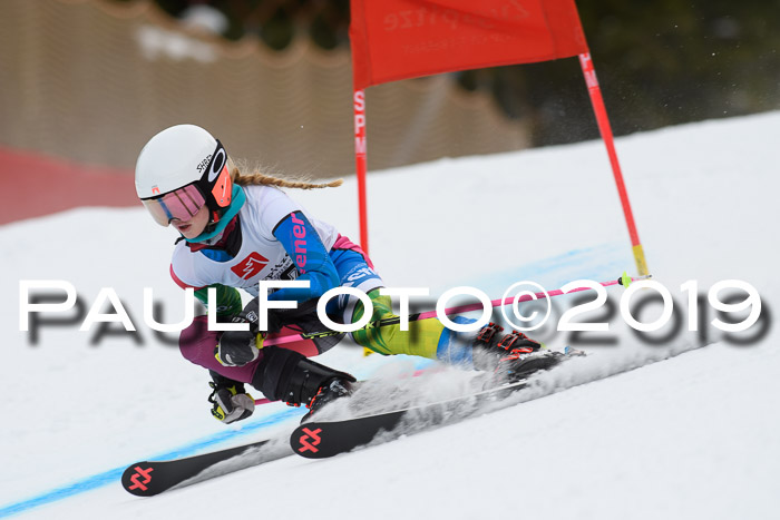 5. BZB CUP RS, + Werdenfelser Meisterschaft + U18, 10.02.2019