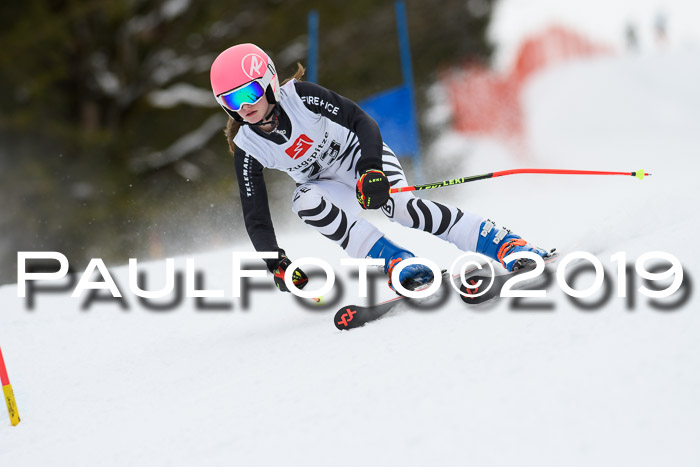 5. BZB CUP RS, + Werdenfelser Meisterschaft + U18, 10.02.2019