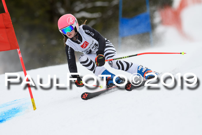5. BZB CUP RS, + Werdenfelser Meisterschaft + U18, 10.02.2019