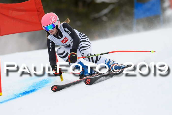 5. BZB CUP RS, + Werdenfelser Meisterschaft + U18, 10.02.2019