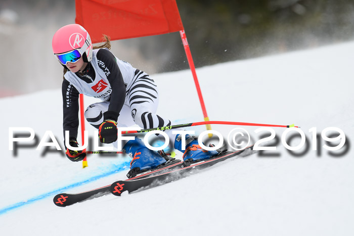 5. BZB CUP RS, + Werdenfelser Meisterschaft + U18, 10.02.2019