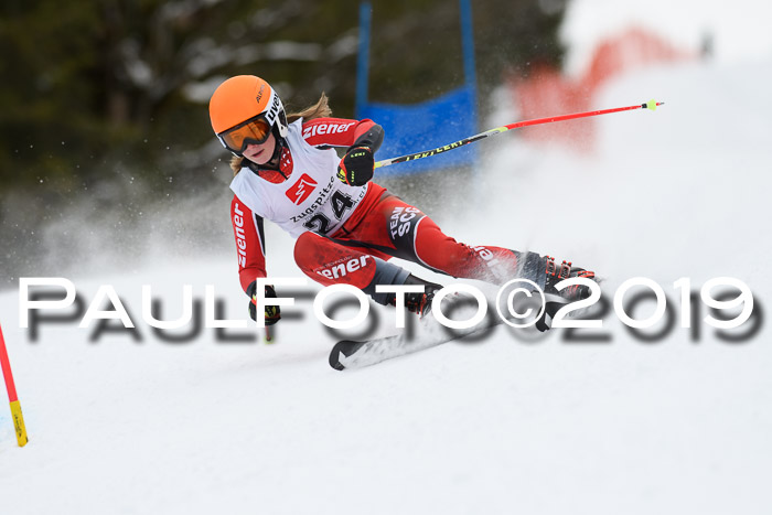 5. BZB CUP RS, + Werdenfelser Meisterschaft + U18, 10.02.2019