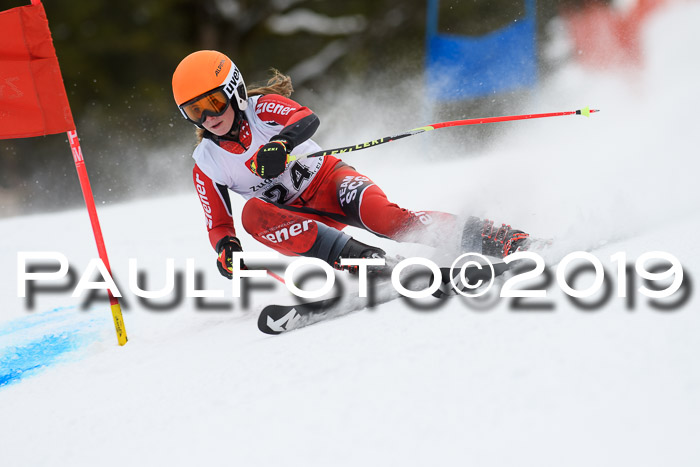 5. BZB CUP RS, + Werdenfelser Meisterschaft + U18, 10.02.2019