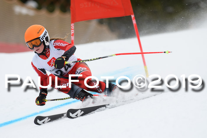 5. BZB CUP RS, + Werdenfelser Meisterschaft + U18, 10.02.2019