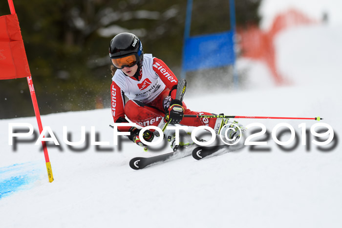 5. BZB CUP RS, + Werdenfelser Meisterschaft + U18, 10.02.2019
