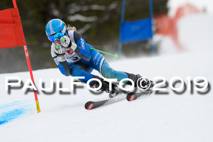 5. BZB CUP RS, + Werdenfelser Meisterschaft + U18, 10.02.2019