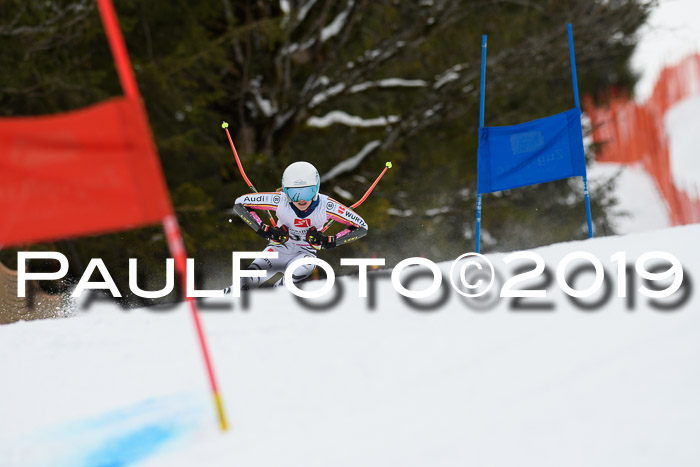 5. BZB CUP RS, + Werdenfelser Meisterschaft + U18, 10.02.2019