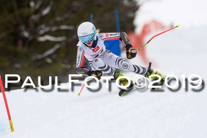 5. BZB CUP RS, + Werdenfelser Meisterschaft + U18, 10.02.2019