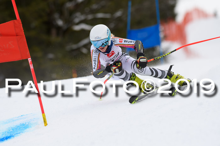 5. BZB CUP RS, + Werdenfelser Meisterschaft + U18, 10.02.2019