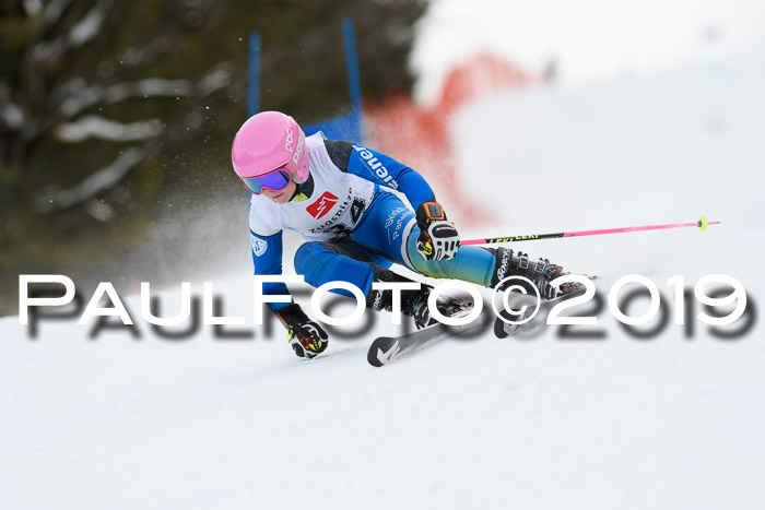 5. BZB CUP RS, + Werdenfelser Meisterschaft + U18, 10.02.2019