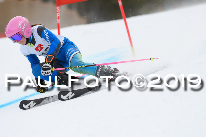 5. BZB CUP RS, + Werdenfelser Meisterschaft + U18, 10.02.2019
