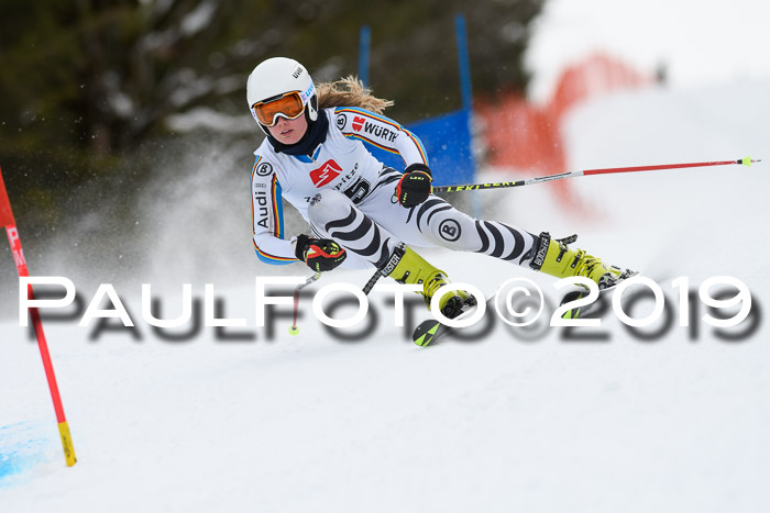 5. BZB CUP RS, + Werdenfelser Meisterschaft + U18, 10.02.2019