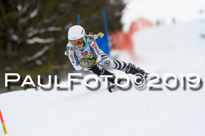 5. BZB CUP RS, + Werdenfelser Meisterschaft + U18, 10.02.2019