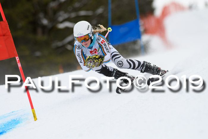 5. BZB CUP RS, + Werdenfelser Meisterschaft + U18, 10.02.2019