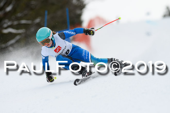 5. BZB CUP RS, + Werdenfelser Meisterschaft + U18, 10.02.2019