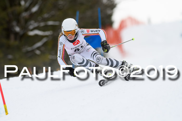 5. BZB CUP RS, + Werdenfelser Meisterschaft + U18, 10.02.2019