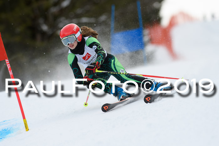 5. BZB CUP RS, + Werdenfelser Meisterschaft + U18, 10.02.2019