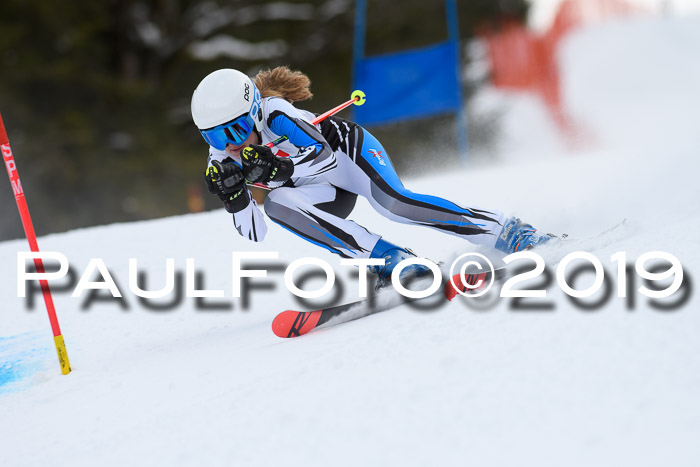 5. BZB CUP RS, + Werdenfelser Meisterschaft + U18, 10.02.2019
