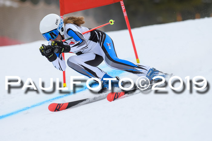 5. BZB CUP RS, + Werdenfelser Meisterschaft + U18, 10.02.2019