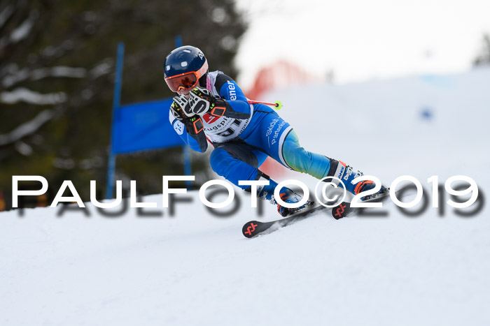 5. BZB CUP RS, + Werdenfelser Meisterschaft + U18, 10.02.2019