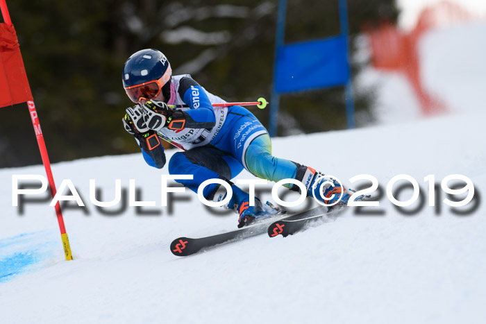 5. BZB CUP RS, + Werdenfelser Meisterschaft + U18, 10.02.2019