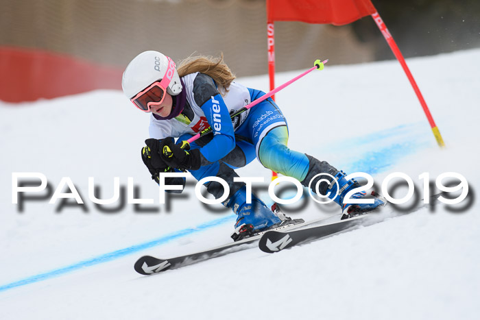 5. BZB CUP RS, + Werdenfelser Meisterschaft + U18, 10.02.2019