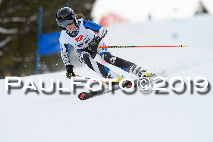 5. BZB CUP RS, + Werdenfelser Meisterschaft + U18, 10.02.2019