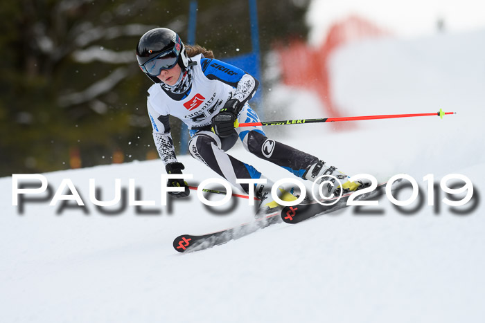 5. BZB CUP RS, + Werdenfelser Meisterschaft + U18, 10.02.2019