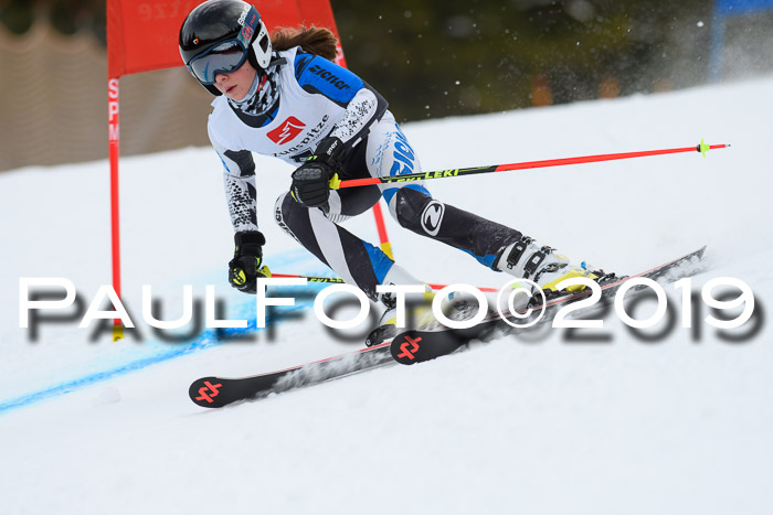 5. BZB CUP RS, + Werdenfelser Meisterschaft + U18, 10.02.2019