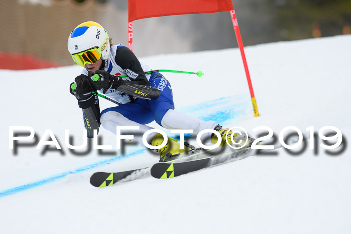 5. BZB CUP RS, + Werdenfelser Meisterschaft + U18, 10.02.2019