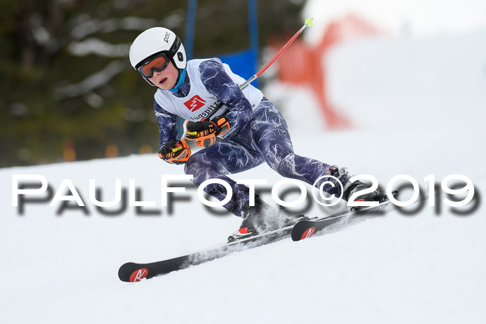 5. BZB CUP RS, + Werdenfelser Meisterschaft + U18, 10.02.2019