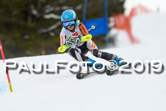 5. BZB CUP RS, + Werdenfelser Meisterschaft + U18, 10.02.2019