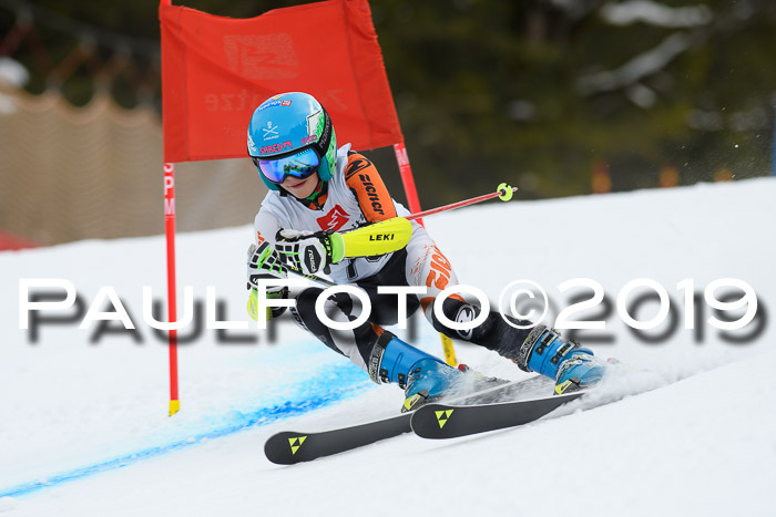 5. BZB CUP RS, + Werdenfelser Meisterschaft + U18, 10.02.2019