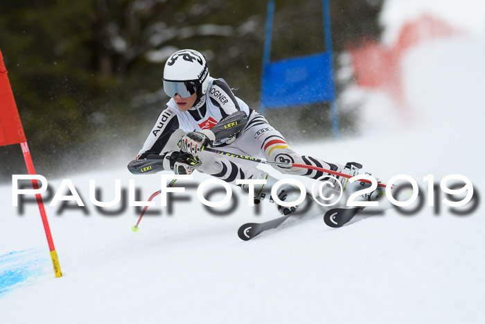 5. BZB CUP RS, + Werdenfelser Meisterschaft + U18, 10.02.2019
