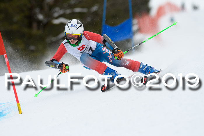5. BZB CUP RS, + Werdenfelser Meisterschaft + U18, 10.02.2019