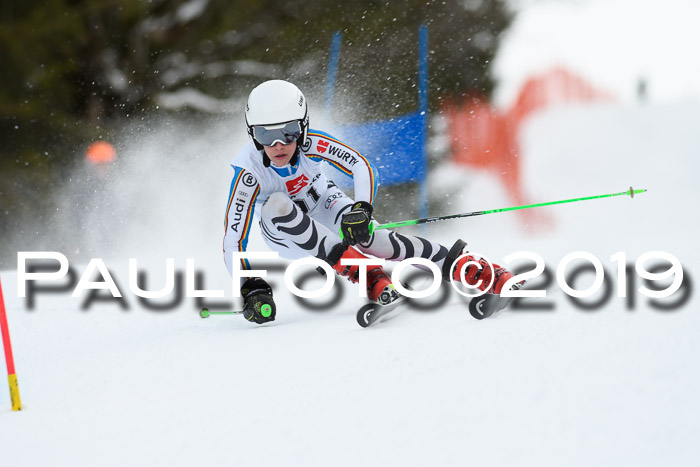 5. BZB CUP RS, + Werdenfelser Meisterschaft + U18, 10.02.2019